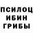 Галлюциногенные грибы мицелий Zero batiev