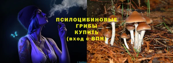 спайс Щёлкино