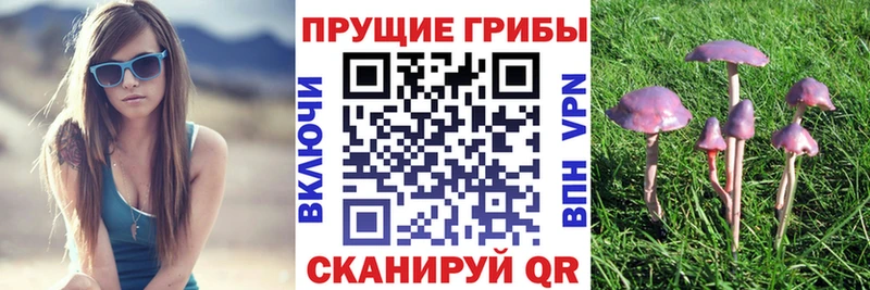 Псилоцибиновые грибы Psilocybine cubensis  Ялта 